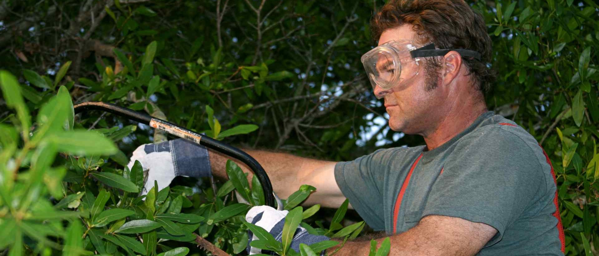 garden clearance TW18