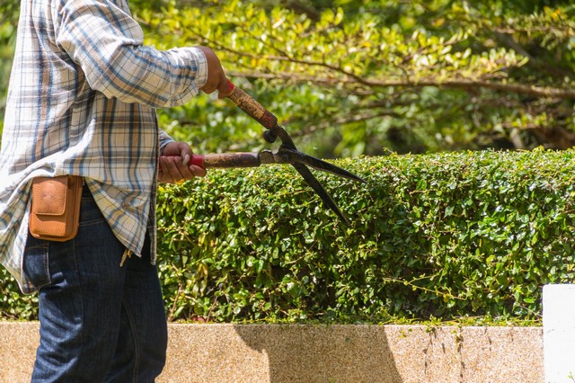 Garden Maintenance Staines-upon-Thames, Egham Hythe, TW18